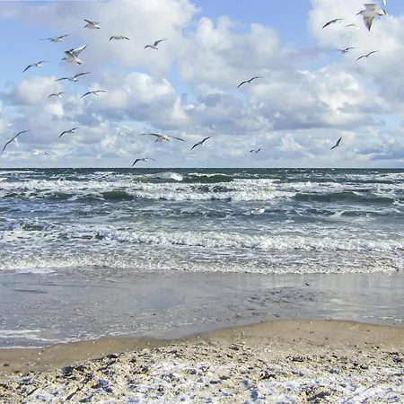 בית נופש Beautiful In With Sauna *